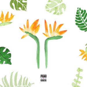 62229341_835978910122492_1100087084674187264_o